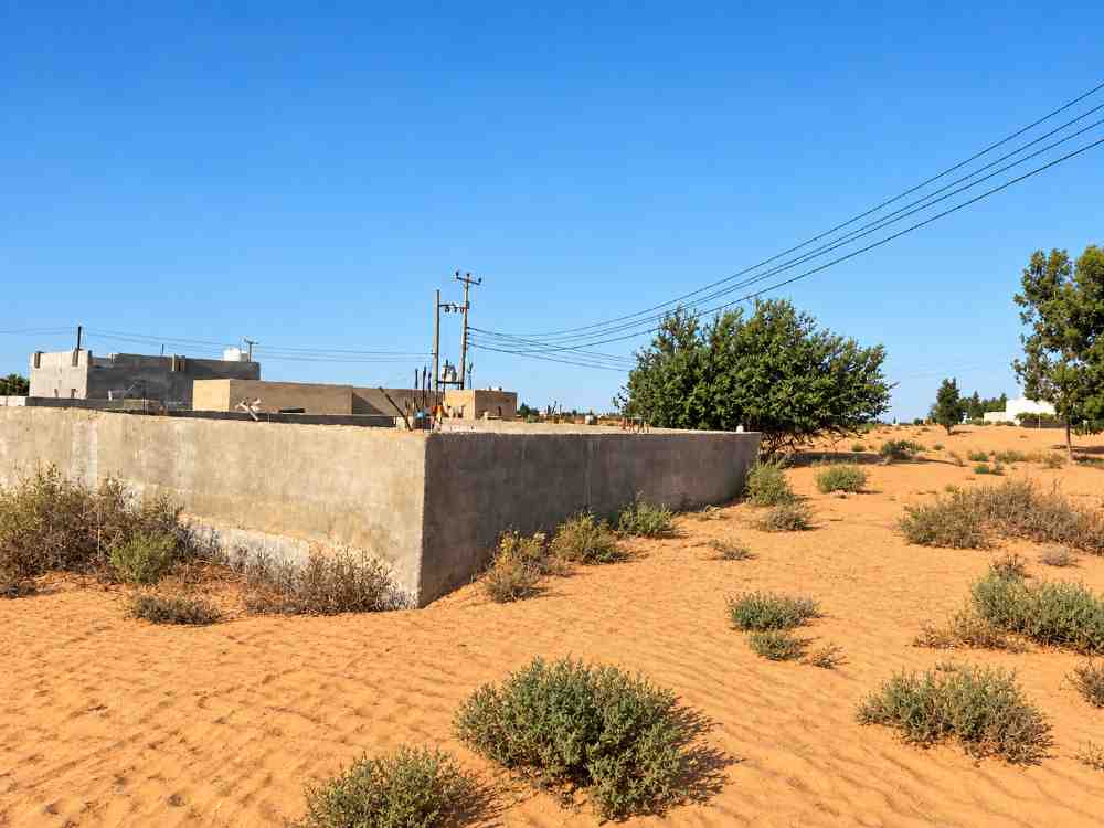 Farm for Sale | Qasr Bin Ghashir – Al Maraziq